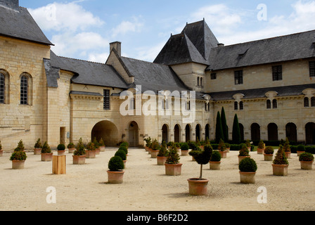 Königliche Abtei von Fontevraud Cour St Benoit Str. Benedict s Krankenstation Maine et Loire-Anjou-Frankreich-Loire-Tal Stockfoto