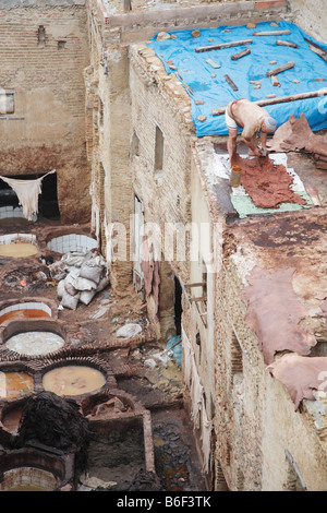 Leder Gerbereien, Fes, Marokko, Afrika Stockfoto