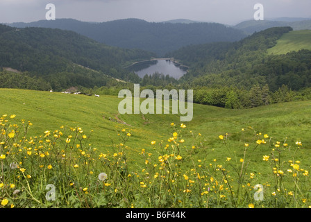 Lagerung See Barrage De La Lande, Frankreich, Vogesen Stockfoto