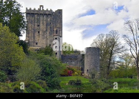 Blarney Castle, Heimat des legendären Stein von Blarney, Irland Stockfoto