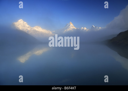 Wetterhorn, 3704 m, Schreck-, 4078 m, Finsteraarhorn, 4274m, Reflexion über den Bachalpsee, Schweiz, Berner Oberland, Gr Stockfoto