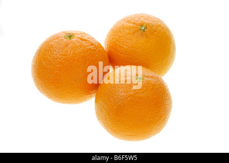 Drei chinesische Mandarin-Orangen auf weißem Hintergrund Stockfoto