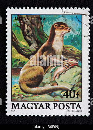 Europäische Otter (Lutra Lutra), Briefmarke, Ungarn, 1979 Stockfoto