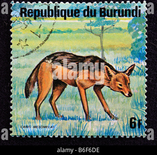 Schwarz unterstützten Jackal (Canis Mesomelas), Briefmarke, Republik Burundi Stockfoto