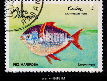 Opah Moonfish, Sonnenbarsch, Kingfish, Jerusalem Schellfisch (Lampris Guttatus), Briefmarke, Kuba, 1981 Stockfoto