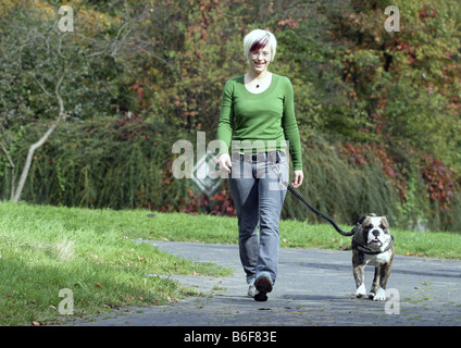 Englische Bulldogge (Canis Lupus F. Familiaris), junge Frau, Wandern mit Hund an der Leine in einem Park, Deutschland Stockfoto