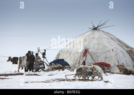 Rentier, hüten, Kanchalan befindet sich in der autonomen Region Chukot, Sibirien-Russland Stockfoto