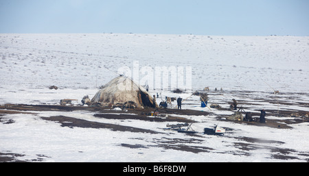 Rentier, hüten, Kanchalan befindet sich in der autonomen Region Chukot, Sibirien-Russiaa Stockfoto