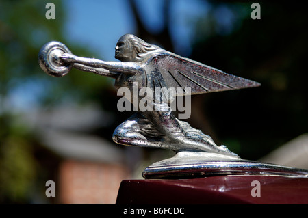 Kühlerfigur von einem 1936 Packard an bei Classic Car Show in Belvidere, New Jersey, USA Stockfoto