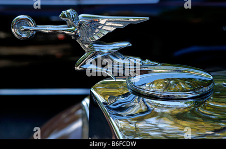 Kühlerfigur auf einem 1933 Packard auf einem Classic Car Show in Belvidere, New Jersey, USA Stockfoto