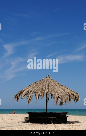 Sonnenschirm am Strand von Pineto, Abruzzen, Italien, Europa Stockfoto