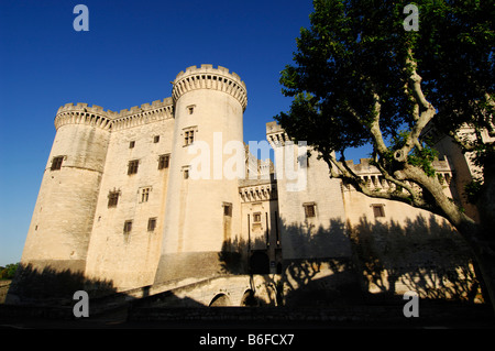 Château du Roi René Castle, Tarascon, Provence, Frankreich, Europa Stockfoto