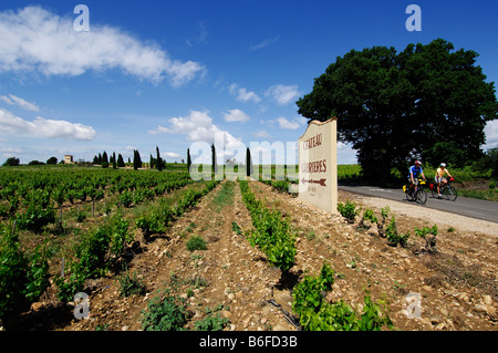 Weinberge in der Nähe von Chauteauneuf du Pape, Provence, Frankreich, Europa Stockfoto