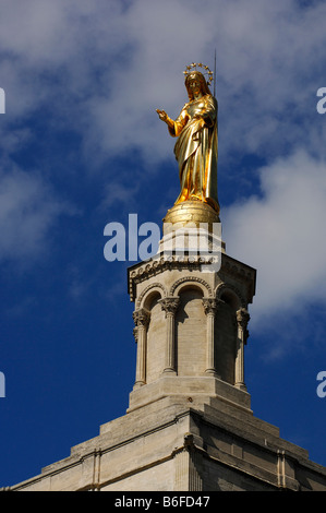 Goldene Statue der Jungfrau Maria auf dem Notre Dame des Doms, Avignon, Provence, Frankreich, Europa Stockfoto