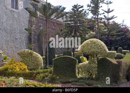 Topiary Garten Jardim Botanico Funchal Madeira Stockfoto