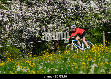 Radfahrer fahren vorbei an einer Blume gefüllt Wiese und Obst Bäume in Blüte, Samerberg, Chiemgau, Bayern, Deutschland, Europa Stockfoto