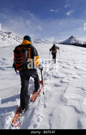 Schneeschuhwanderer, Wandern auf den Aufstieg zum Monte Rosso Berg, Roteck, hohe Pustertal oder Alto Pustertal, Bozen-Bozen, Dolom Stockfoto