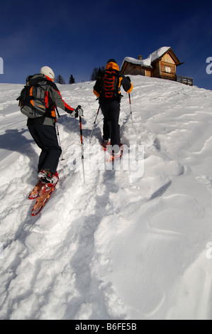 Schneeschuhwanderer aufsteigend die Rotwand oder Pietrarossa Berge, hoch Pustertal oder Alto Pustertal, Bozen-Bozen, Dolomit-Alp Stockfoto