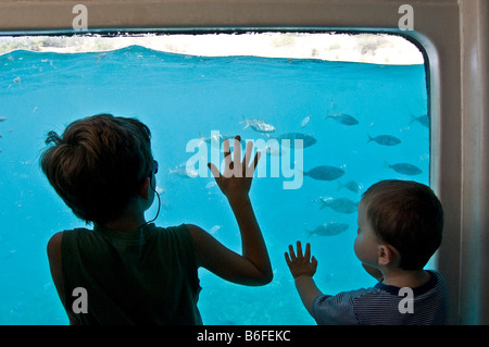 Kinder, die Fische aus einem Glas beobachten Platt Boot, Mallorca, Balearen, Spanien, Europa Stockfoto