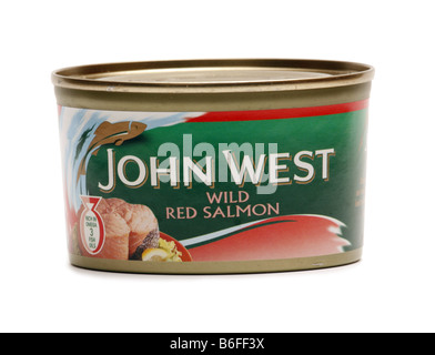 Dose mit John West Red Wildlachs Stockfoto