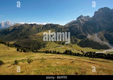 Alm Seiser Alm, Alpe di Siusi, in den Dolomiten im Sommer, in der Nähe von Seis, Schlern Berg, Südtirol, Italien, Europa Stockfoto