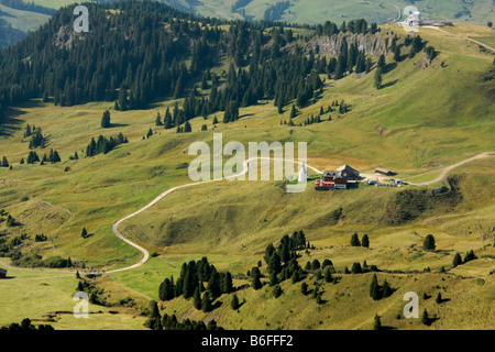 Alm Seiser Alm, Alpe di Siusi, in den Dolomiten im Sommer, in der Nähe von Seis, Schlern Berg, Südtirol, Italien, Europa Stockfoto