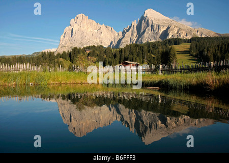 Lange und Plattkofels Gipfeln der Alm Seiser Alm, Alpe di Siusi, in den Dolomiten im Sommer, in der Nähe von Seis, Schlern mou Stockfoto