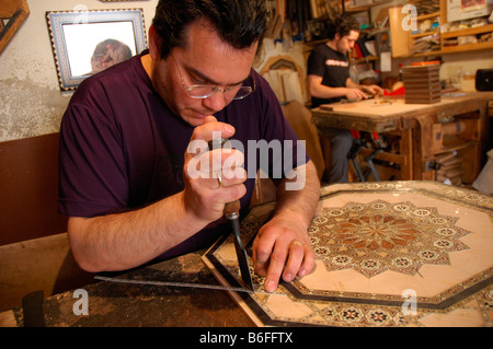 Taraceas Laguna Alhambra Palast GRANADA Andalusien Region Spanien Stockfoto