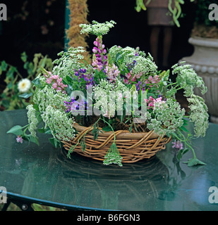 Sommer-Arrangement von Lupinen und Kuh Petersilie in einem Korb Stockfoto