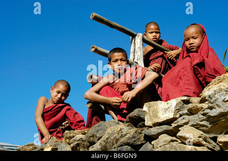 Vier buddhistischen Novizen tragen rote Roben, in der Nähe von Pindaya, Shan-Staat, Birma, Südostasien Stockfoto