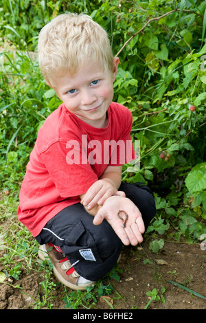 Ein Junge, vier Jahre alt, stolz präsentieren einen Wurm Stockfoto