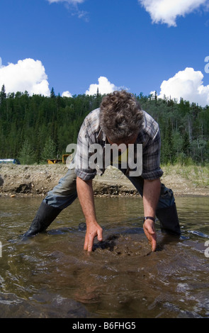 Mann, gold panning auf Gold Bottom Creek, Klondike Gold Rush, Dawson City, Yukon Territorium, Kanada, Nordamerika Stockfoto