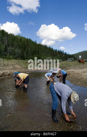Männer, gold panning auf Gold Bottom Creek, Klondike Gold Rush, Dawson City, Yukon Territorium, Kanada, Nordamerika Stockfoto