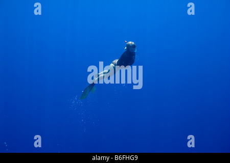 USA Hawaii Big Island junge Frau schwimmt auf der Oberfläche beim Freitauchen im Pazifischen Ozean Stockfoto