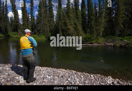 Fliegenfischen, Angler, Kampf gegen arktische Äsche (Thymallus Arcticus), Liard River, British Columbia, Yukon Territorium, Kanada, noch Stockfoto