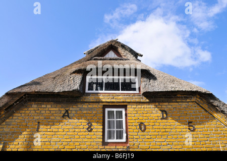 Reetdach, Detail, in Maasholm, Schleswig-Holstein, Deutschland, Europa Stockfoto