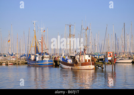 Boote in Maasholm Hafen, Ostsee, Schleswig-Holstein, Deutschland, Europa Stockfoto