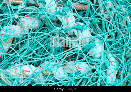 Grüne Nylon Fischernetze und Seile in Maasholm Hafen, Ostseeküste, Schleswig-Holstein, Deutschland, Europa Stockfoto