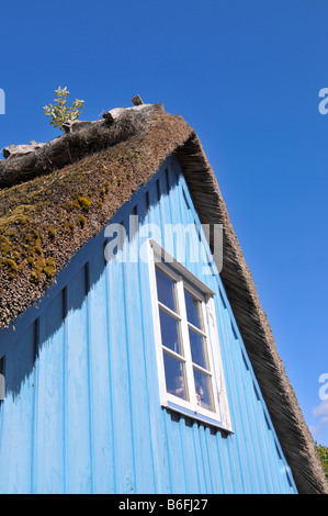 Reetdach-Haus in Maasholm, Schleswig-Holstein, Deutschland, Europa Stockfoto