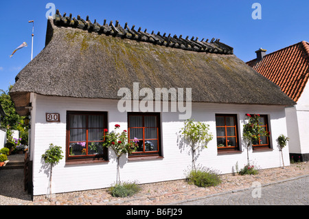 Reetdach-Haus in Maasholm, Schleswig-Holstein, Deutschland, Europa Stockfoto