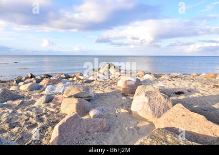 Ostsee Küste von Maasholm, Schleimuendung oder Schlei-Mündung, Schleswig-Holstein, Deutschland, Europa Stockfoto