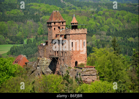 Burg Berwartstein, Erlenbach, Naturpark Pfaelzerwald Nature Reserve, Rheinland-Pfalz, Deutschland, Europa Stockfoto