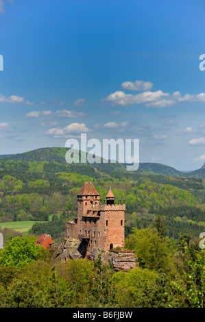 Burg Berwartstein, Erlenbach, Naturpark Pfaelzerwald Nature Reserve, Rheinland-Pfalz, Deutschland, Europa Stockfoto