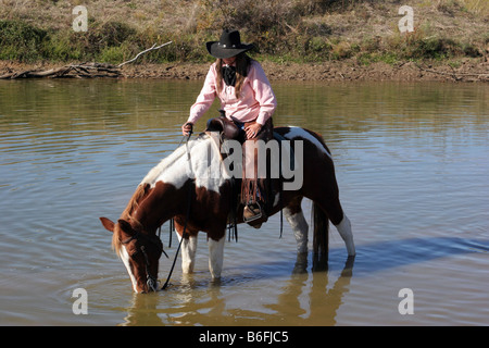 Ein Cowgirl mit ihrem Pferd aus einem Teich auf dem Pferderücken zu trinken Stockfoto