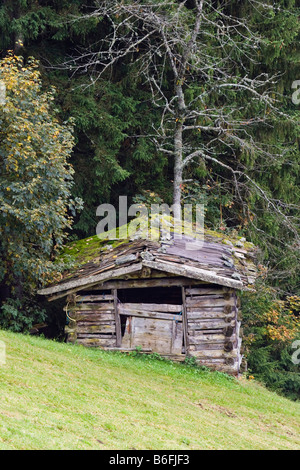 Berghütte in Alpbach, Alpbachtal, Alpen, Tirol, Austria, Europe Stockfoto