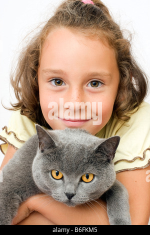 Mädchen, 6 Jahre, mit blauen British Kurzhaar-Katze Stockfoto