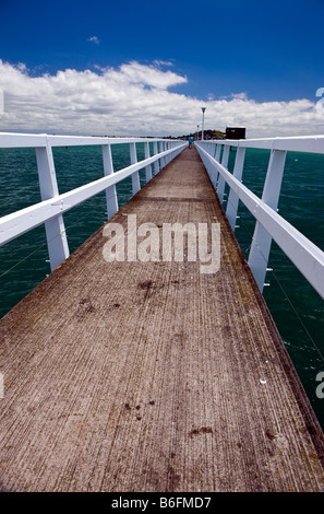 Angelsteg in der Nähe von Mission Bay, Verlängerung in den Waitemata Harbour, Auckland, Neuseeland Stockfoto