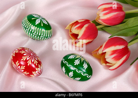 Ostern-Einstellung mit Eiern und Tulpen Stockfoto