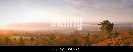 Am frühen Morgen Panorama [Blick von Leith Hill] [North Downs] [Surrey Hills] Herbst Stockfoto