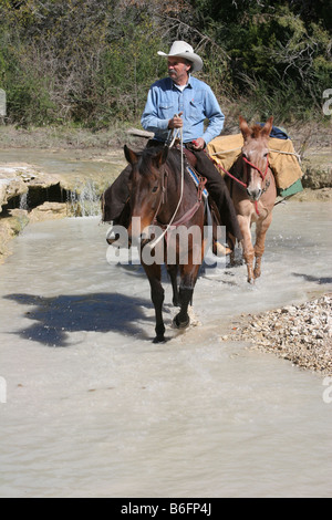 Behaupten Sie Bagger auf dem Pferderücken mit seinem backpacked Maultier zu Fuß durch einen Fluss in Texas Gold schürfen wollen Stockfoto